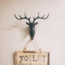 879001 | [작은 포인트 인테리어 소품 후기]일본 후우링(유리풍경)과 탈부착 사슴 걸이