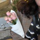 온도(ondo) | [웨딩스냅] 미닝웨딩 온도(ondo) 계약 후기