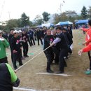 하주초등학교 이미지