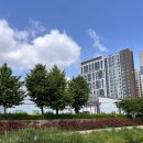 (주)더마름 이미지