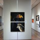 청산아트홀 이미지