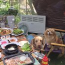 황제집밥식당 이미지