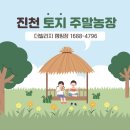 진천농장 네이버블로그