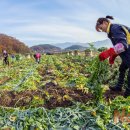 도산무청영농조합법인 이미지