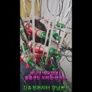 50대 여자 히피펌 헤어스타일 미국에서 오셨어요 이미지
