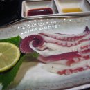 문어이야기 이미지