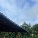 동가래별빛 - 5631 | 동가래별빛