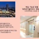 독일인솔