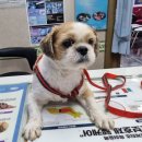 북비산로 이미지