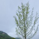 목동천길 이미지