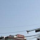 동백로 67 | 부산 해운대 웨스틴 조선 부산 까밀리아 생일 예약 주말 런치 후기