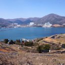 지세포로 이미지