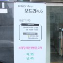 오드리4.6 이미지