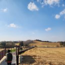 '미소'유기한우목장 | 서산 아이데리고 가볼만한곳 한우목장 산책로 포토존 11월 후기