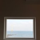 제일목장 | 제주도 여행 2일차(소색채본, 대한목장, 모슬포에서, 명호마농갈비)