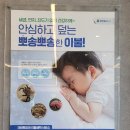 크린토피아코인워시대전 이미지