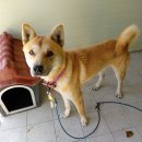 희망대로 이미지