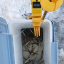 집이곡지 이미지