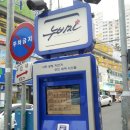 안민동 정자나무 이미지