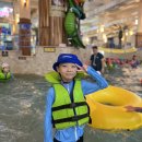 수호천사태권도&번지피지오 이미지