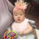 막내목장 이미지