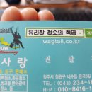 뚜레쥬르청원내수점 네이버블로그
