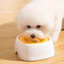 모****** 쇼핑하우