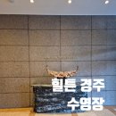 더케이호텔경주 헬스클럽 | 경주 힐튼 호텔 수영장. 실내 수영장 이용 방법 및 요금 정리