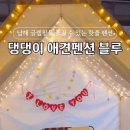 남해댕댕이 애견펜션 블루 이미지