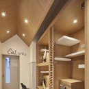 분당24시동물의료센터 이미지