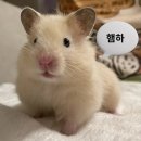 스폿라이트 - 서구 도솔로 391 | 스폿라이트