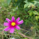 야곱목장 이미지