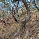 대전 갑하산-신선봉-우산봉 산행