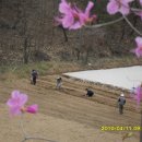 로사의집 이미지