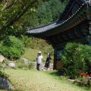 죽장사 Daum카페