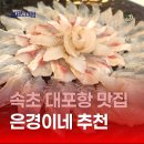 속초 대포항 바가지 없는 횟집 추천 - B동 9호 은경이네