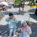 밀양댐스쿨캠핑장 | 경남 밀양댐스쿨 캠핑장 (어린이날)