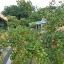 개인택시(김영수) 이미지