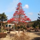 대유랜드 이미지