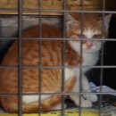 문태중학교 이미지