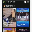 클립시스템 이미지