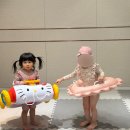 버디호프 | 돌아기 래쉬가드 여아 버디앤호프 수영복 사이즈 팁