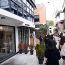 커뮤니티팔시보