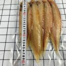 군산박대왕 이미지