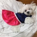 썸띵 제이