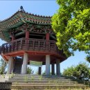 대부해솔길 6-1코스(순환코스) 이미지