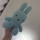 아그리나 D | 2025, 의당탕탕 11월 [우리 집에 새로운 가족이 생겼어용✌🏻]