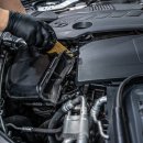 퍼스트게러지 이미지