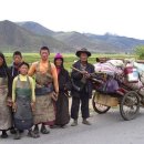 현대동카 이미지