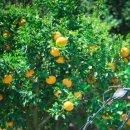 구동펜션 이미지